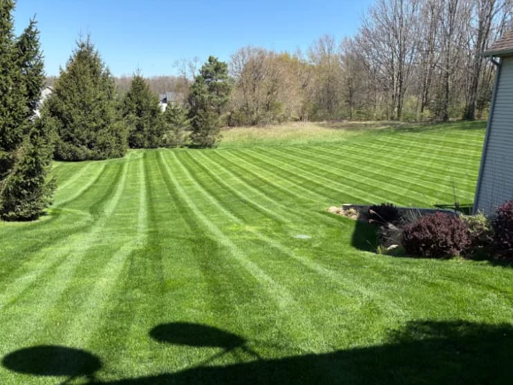 Lawn mowing — property